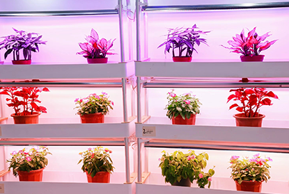 Plant Growth Supply Light